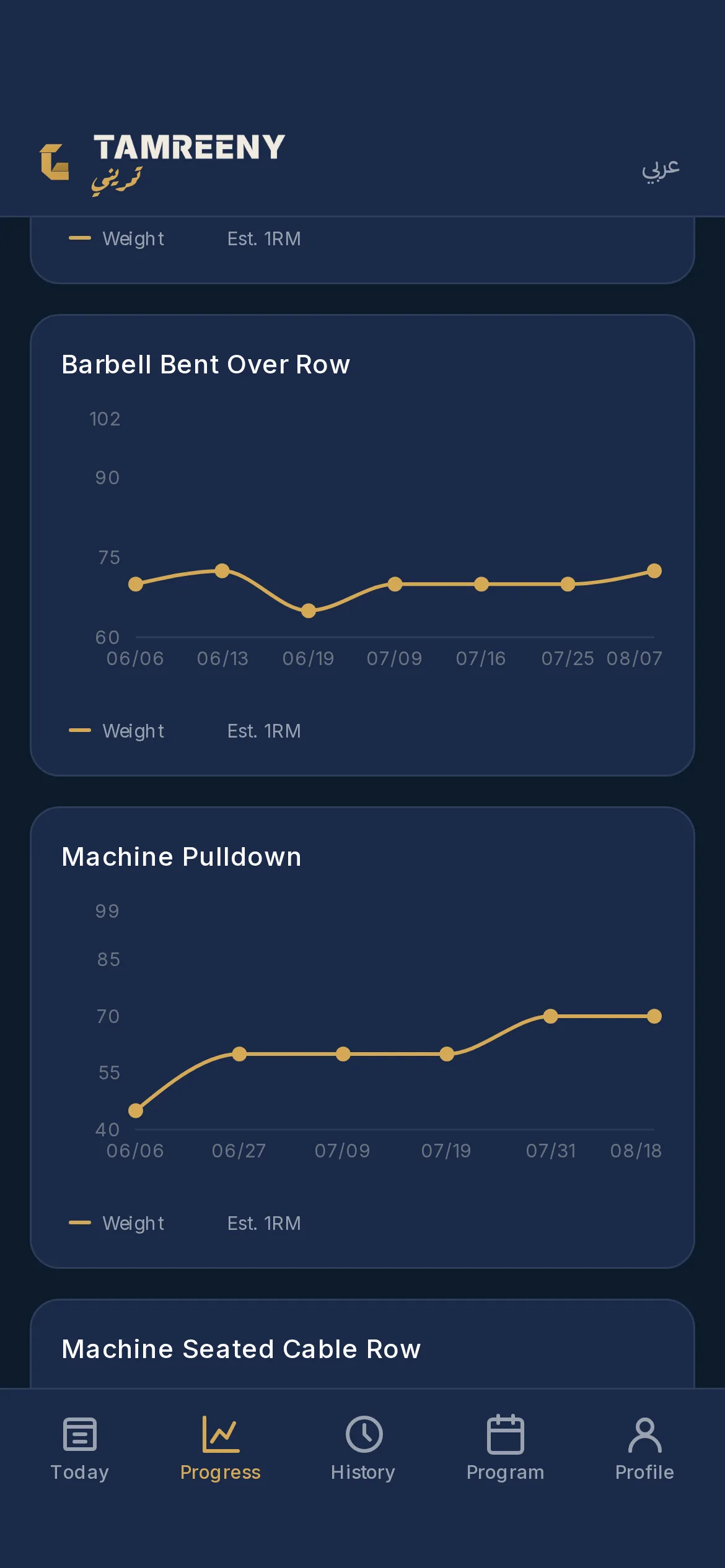Progress charts: the weight on each main lift plotted over the weeks