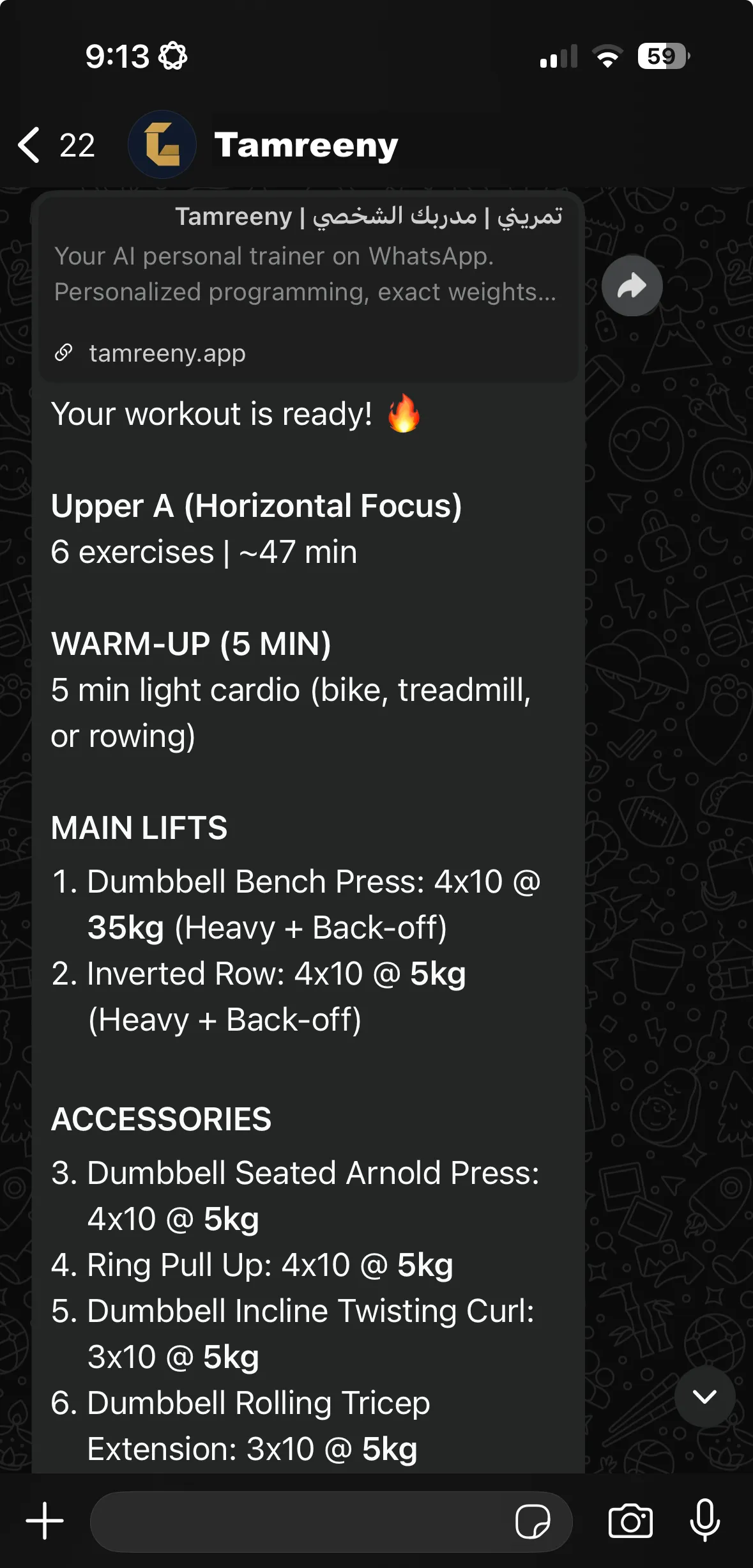 Workout delivered via WhatsApp message with exercises and weights